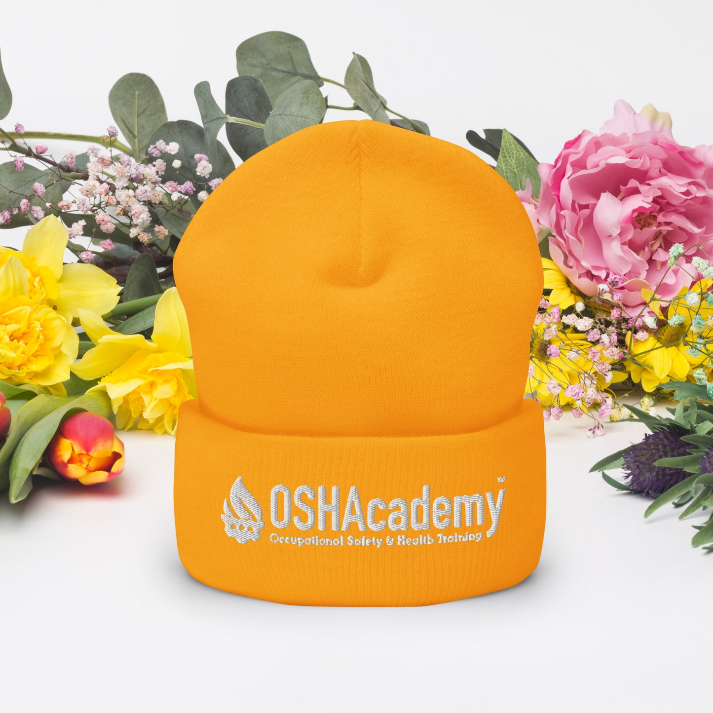 OSHAcademy Cuffed Beanie